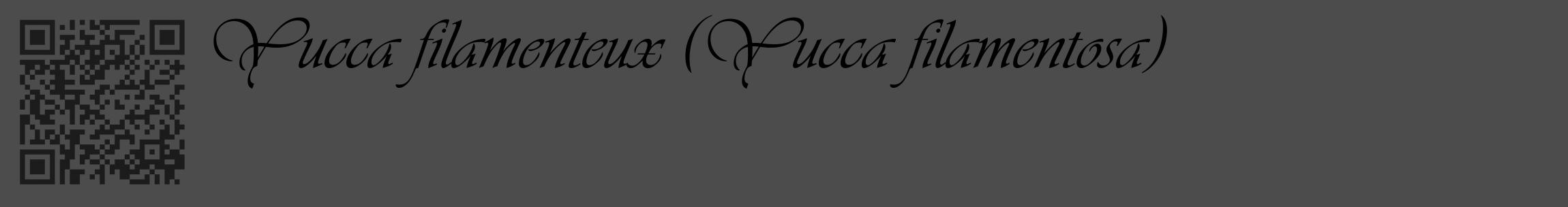 Étiquette de : Yucca filamentosa - format c - style noire27_basique_basiqueviv avec qrcode et comestibilité