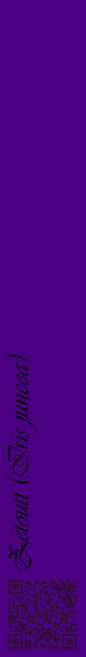 Étiquette de : Iris juncea - format c - style noire47_basiqueviv avec qrcode et comestibilité