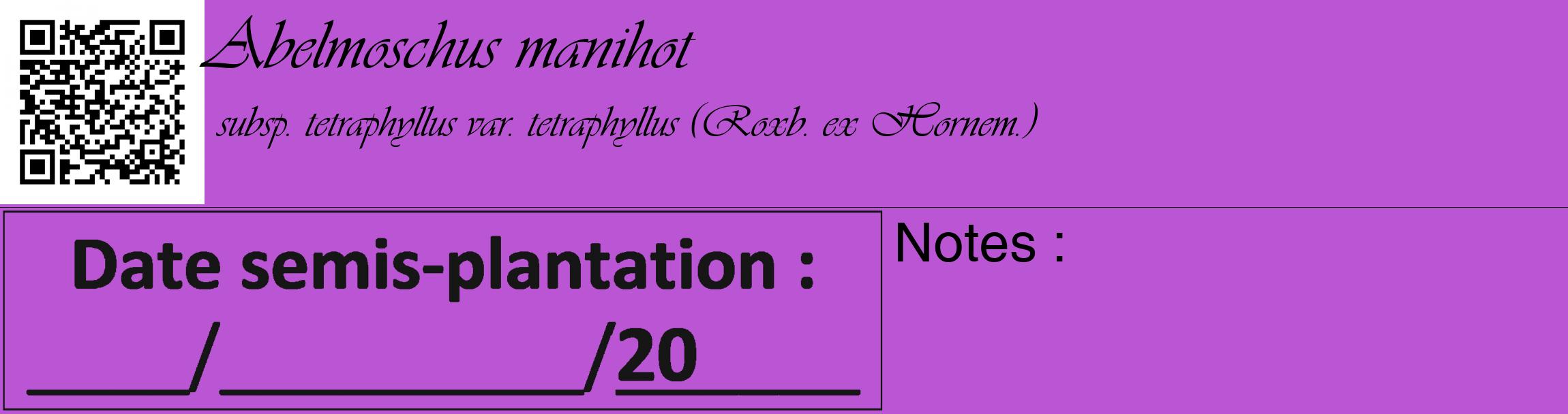 Étiquette de : Abelmoschus manihot subsp. tetraphyllus var. tetraphyllus (Roxb. ex Hornem.) - format c - style noire50_basique_basiqueviv avec qrcode et comestibilité