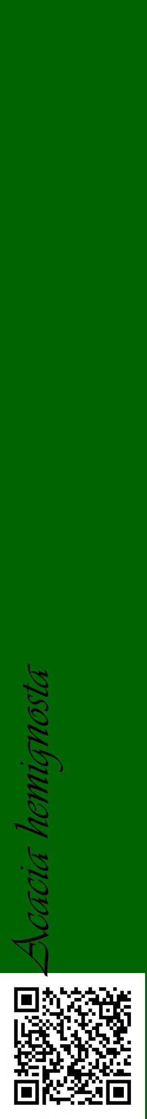 Étiquette de : Acacia hemignosta - format c - style noire8_basiqueviv avec qrcode et comestibilité