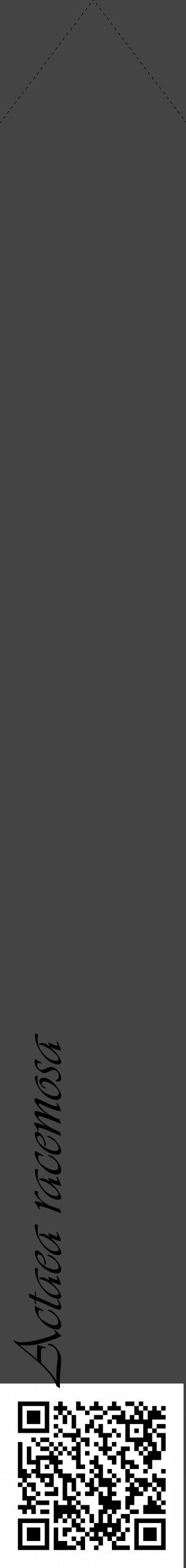 Étiquette de : Actaea racemosa - format c - style noire48_simple_simpleviv avec qrcode et comestibilité - position verticale