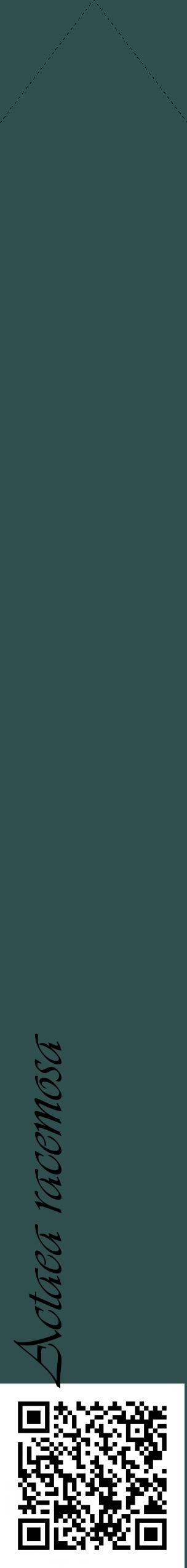 Étiquette de : Actaea racemosa - format c - style noire58_simpleviv avec qrcode et comestibilité