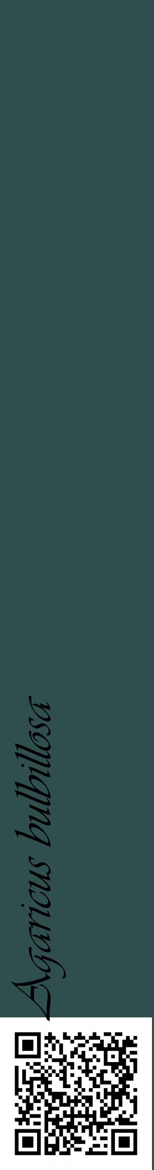 Étiquette de : Agaricus bulbillosa - format c - style noire58_basiqueviv avec qrcode et comestibilité