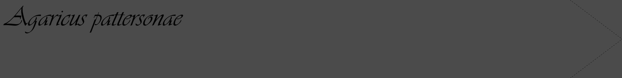 Étiquette de : Agaricus pattersonae - format c - style noire9_simple_simpleviv avec comestibilité