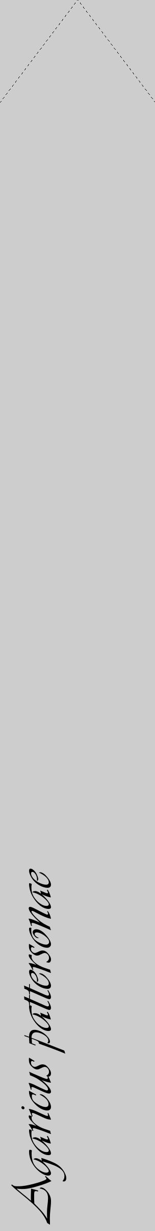 Étiquette de : Agaricus pattersonae - format c - style noire41_simple_simpleviv avec comestibilité - position verticale