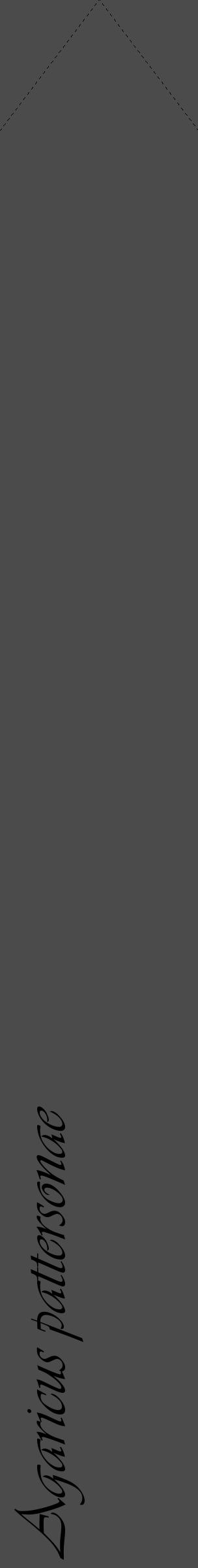 Étiquette de : Agaricus pattersonae - format c - style noire9_simple_simpleviv avec comestibilité - position verticale