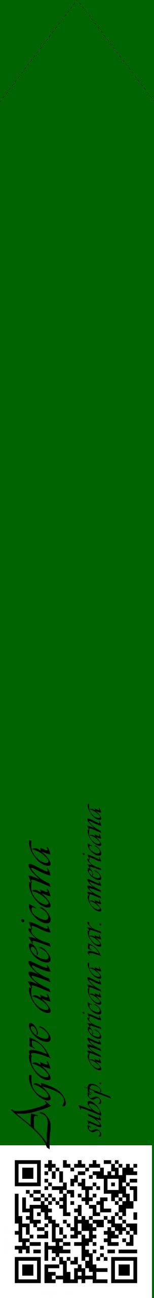 Étiquette de : Agave americana subsp. americana var. americana - format c - style noire8_simpleviv avec qrcode et comestibilité