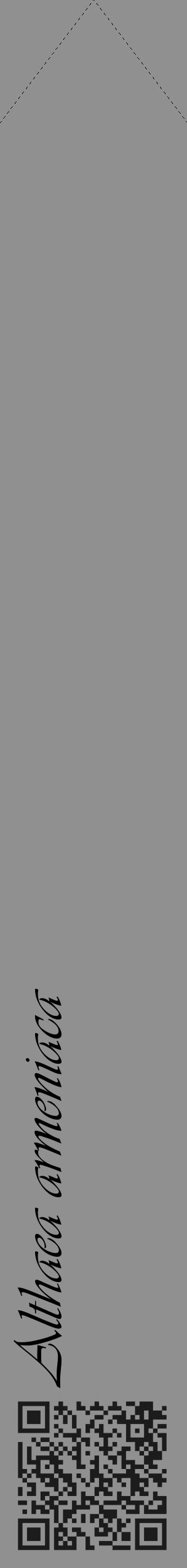 Étiquette de : Althaea armeniaca - format c - style noire4_simple_simpleviv avec qrcode et comestibilité - position verticale