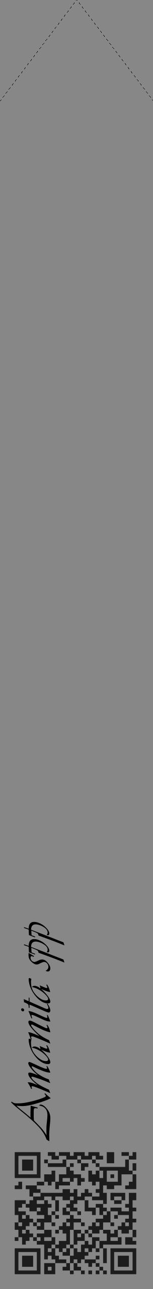 Étiquette de : Amanita spp - format c - style noire12_simple_simpleviv avec qrcode et comestibilité - position verticale