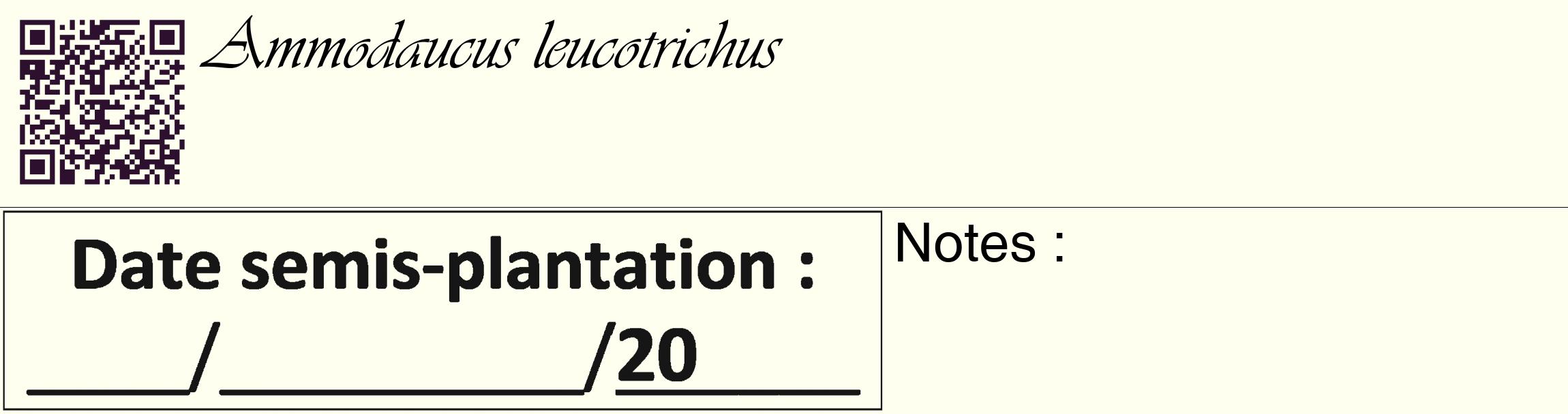 Étiquette de : Ammodaucus leucotrichus - format c - style noire19_basique_basiqueviv avec qrcode et comestibilité