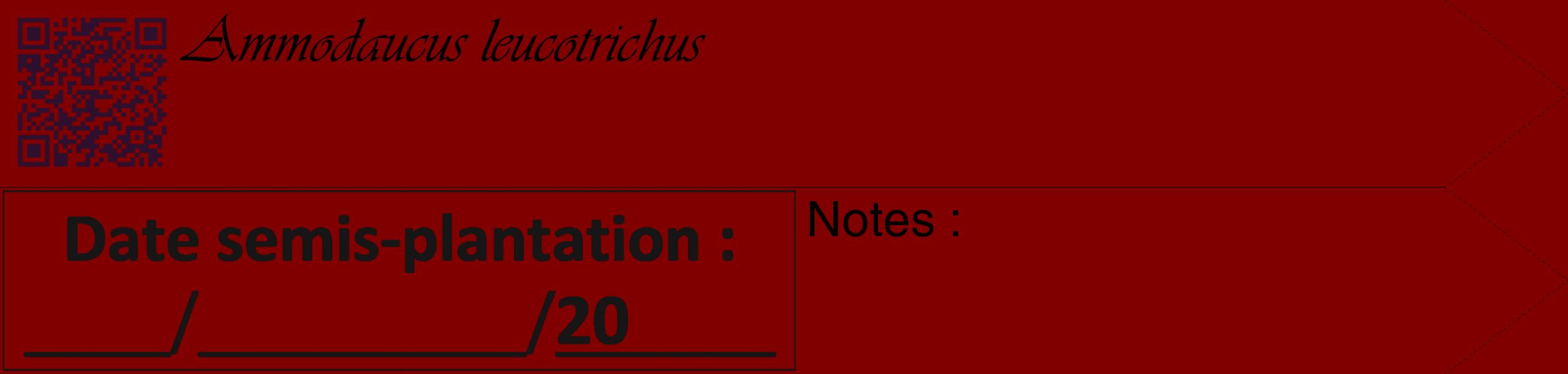 Étiquette de : Ammodaucus leucotrichus - format c - style noire29_simple_simpleviv avec qrcode et comestibilité