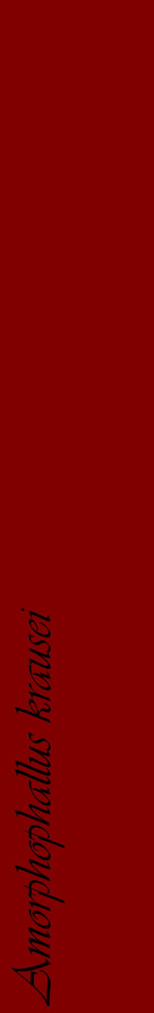 Étiquette de : Amorphophallus krausei - format c - style noire29_basiqueviv avec comestibilité