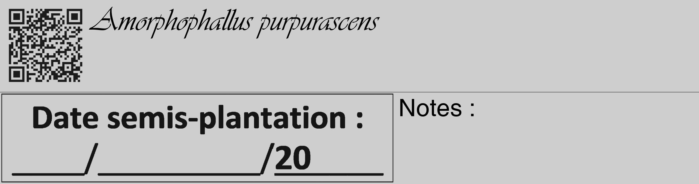 Étiquette de : Amorphophallus purpurascens - format c - style noire17_basique_basiqueviv avec qrcode et comestibilité