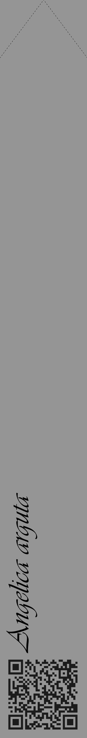 Étiquette de : Angelica arguta - format c - style noire16_simple_simpleviv avec qrcode et comestibilité - position verticale