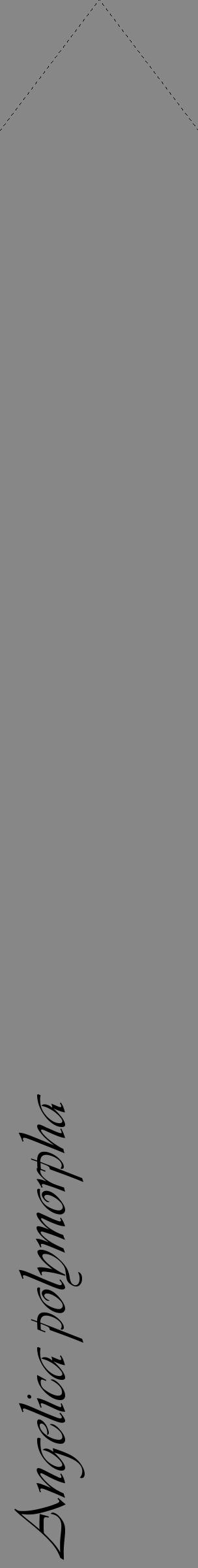 Étiquette de : Angelica polymorpha - format c - style noire12_simple_simpleviv avec comestibilité - position verticale