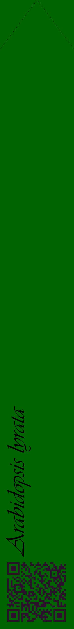 Étiquette de : Arabidopsis lyrata - format c - style noire8_simpleviv avec qrcode et comestibilité