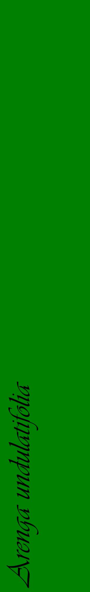 Étiquette de : Arenga undulatifolia - format c - style noire9_basiqueviv avec comestibilité