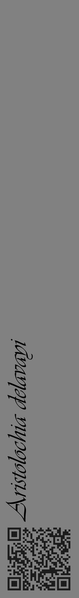 Étiquette de : Aristolochia delavayi - format c - style noire50_basique_basiqueviv avec qrcode et comestibilité - position verticale