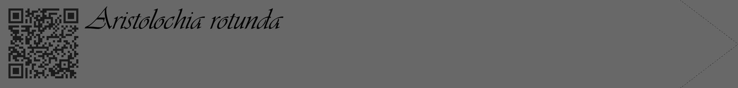 Étiquette de : Aristolochia rotunda - format c - style noire43_simple_simpleviv avec qrcode et comestibilité