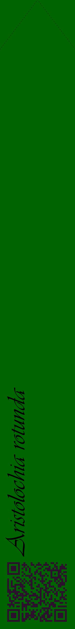 Étiquette de : Aristolochia rotunda - format c - style noire8_simpleviv avec qrcode et comestibilité