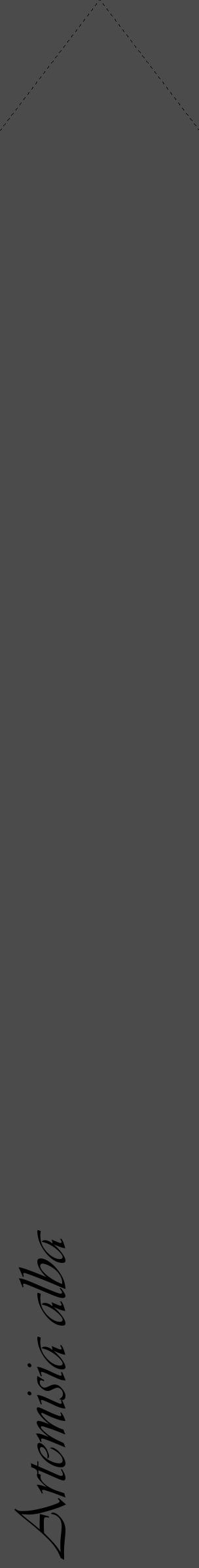 Étiquette de : Artemisia alba - format c - style noire9_simple_simpleviv avec comestibilité - position verticale