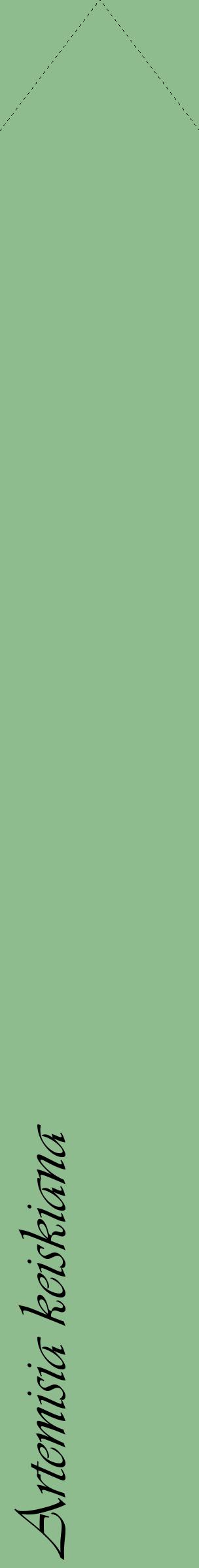Étiquette de : Artemisia keiskiana - format c - style noire13_simpleviv avec comestibilité