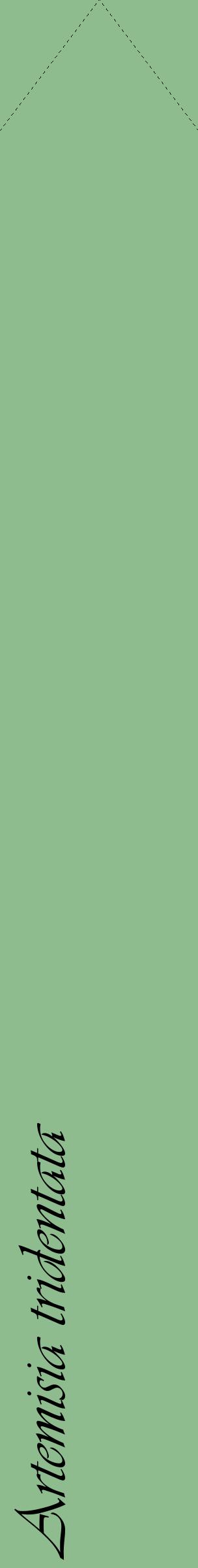 Étiquette de : Artemisia tridentata - format c - style noire13_simpleviv avec comestibilité
