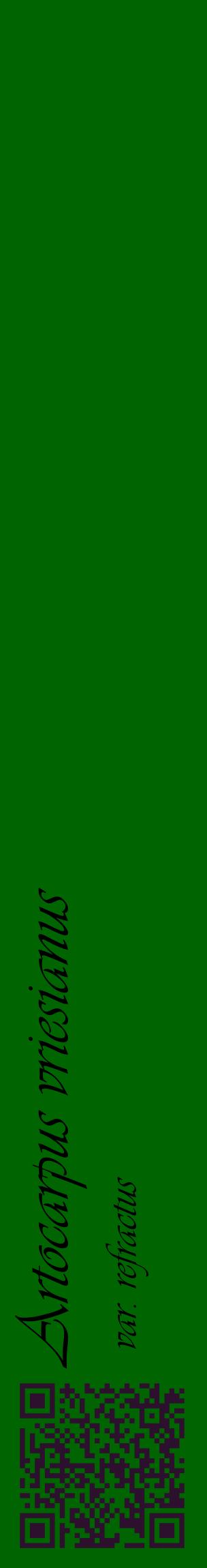 Étiquette de : Artocarpus vriesianus var. refractus - format c - style noire8_basiqueviv avec qrcode et comestibilité