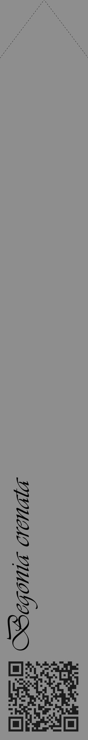 Étiquette de : Begonia crenata - format c - style noire25_simple_simpleviv avec qrcode et comestibilité - position verticale