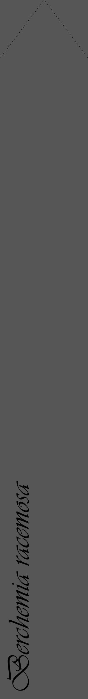 Étiquette de : Berchemia racemosa - format c - style noire45_simple_simpleviv avec comestibilité - position verticale