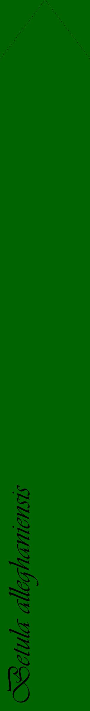 Étiquette de : Betula alleghaniensis - format c - style noire8_simpleviv avec comestibilité