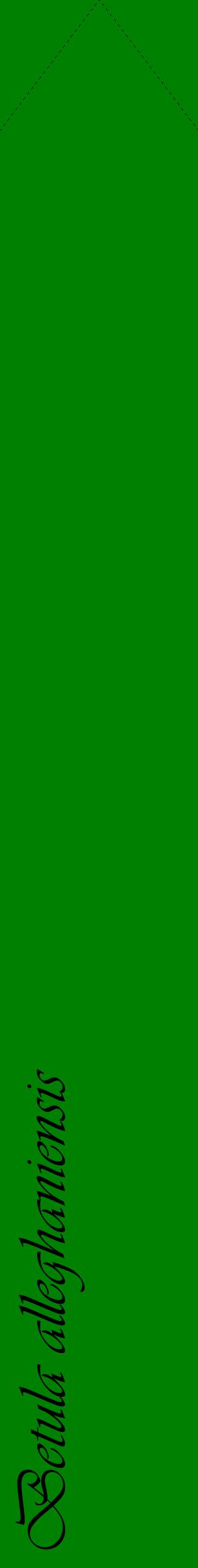 Étiquette de : Betula alleghaniensis - format c - style noire9_simpleviv avec comestibilité