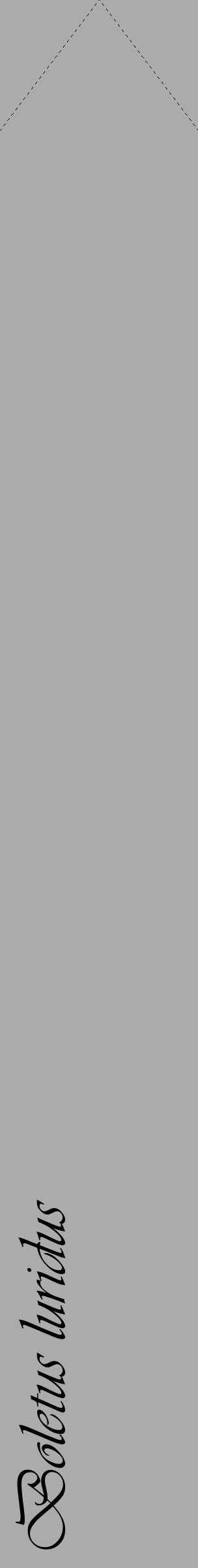 Étiquette de : Boletus luridus - format c - style noire37_simple_simpleviv avec comestibilité - position verticale