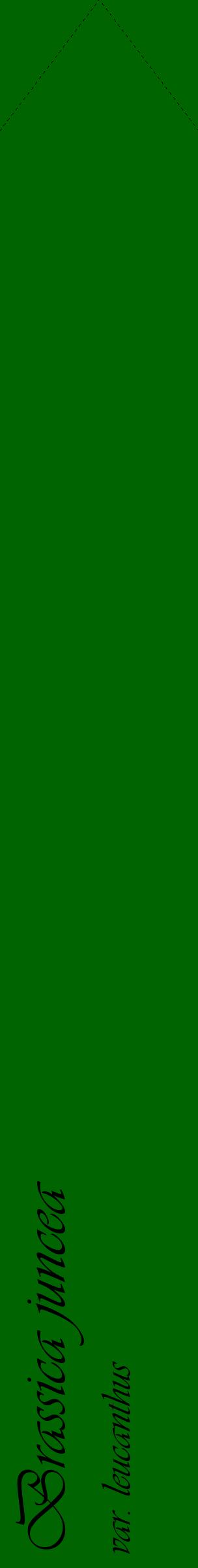Étiquette de : Brassica juncea var. leucanthus - format c - style noire8_simpleviv avec comestibilité