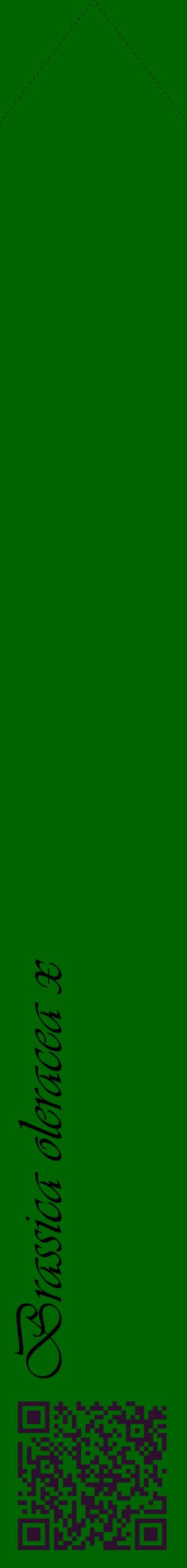 Étiquette de : Brassica oleracea x - format c - style noire8_simpleviv avec qrcode et comestibilité