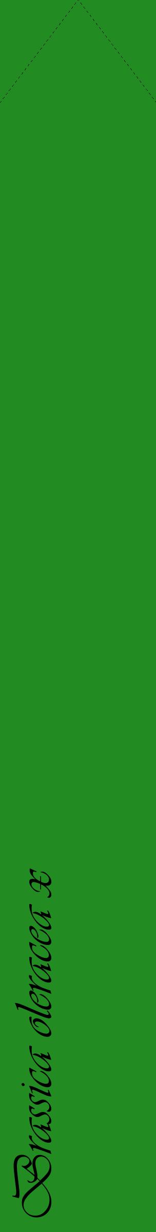 Étiquette de : Brassica oleracea x - format c - style noire10_simpleviv avec comestibilité