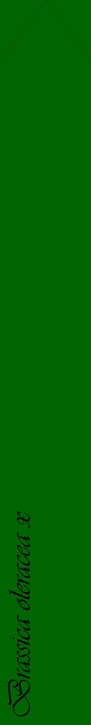 Étiquette de : Brassica oleracea x - format c - style noire8_simpleviv avec comestibilité