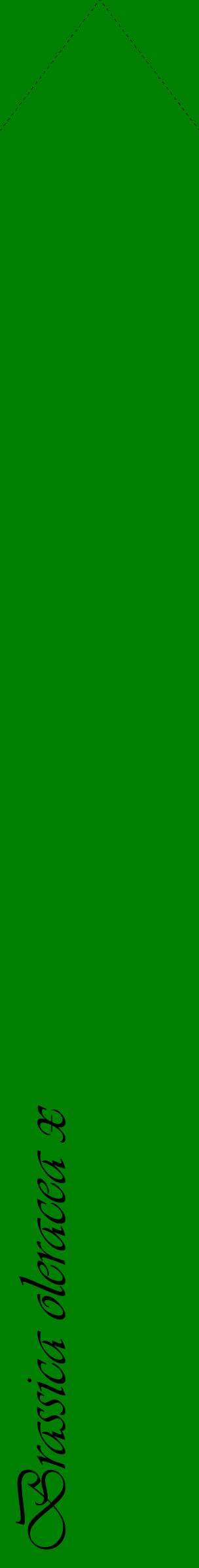 Étiquette de : Brassica oleracea x - format c - style noire9_simpleviv avec comestibilité