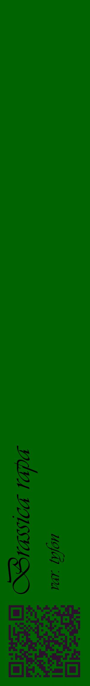 Étiquette de : Brassica rapa var. tyfon - format c - style noire8_basiqueviv avec qrcode et comestibilité