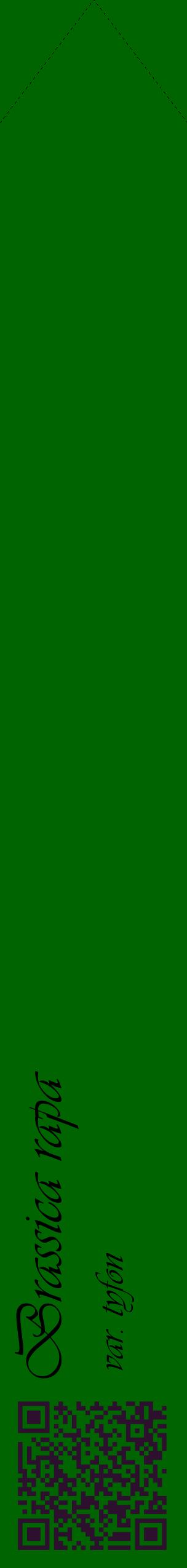 Étiquette de : Brassica rapa var. tyfon - format c - style noire8_simpleviv avec qrcode et comestibilité
