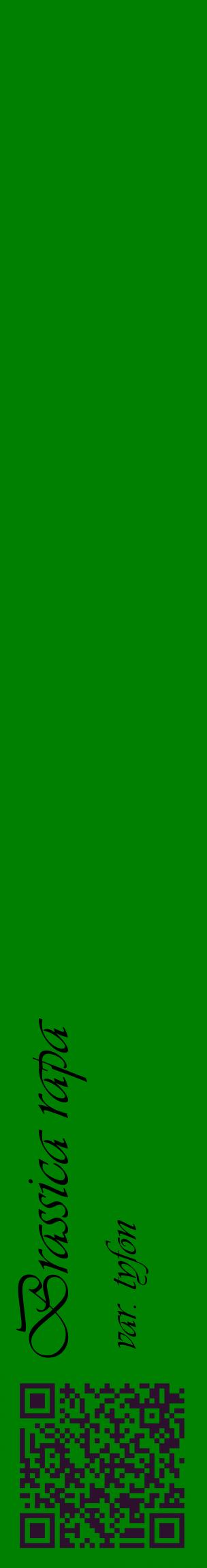 Étiquette de : Brassica rapa var. tyfon - format c - style noire9_basiqueviv avec qrcode et comestibilité