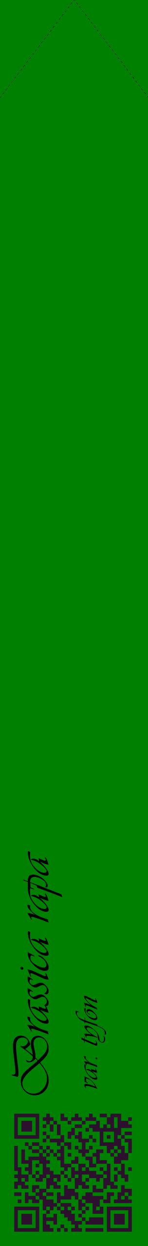 Étiquette de : Brassica rapa var. tyfon - format c - style noire9_simpleviv avec qrcode et comestibilité