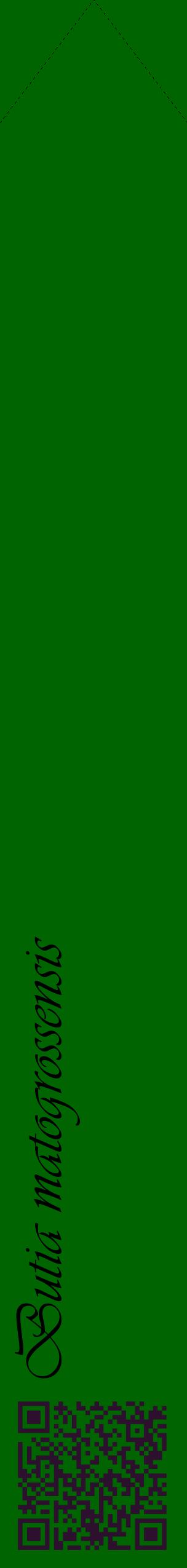Étiquette de : Butia matogrossensis - format c - style noire8_simpleviv avec qrcode et comestibilité