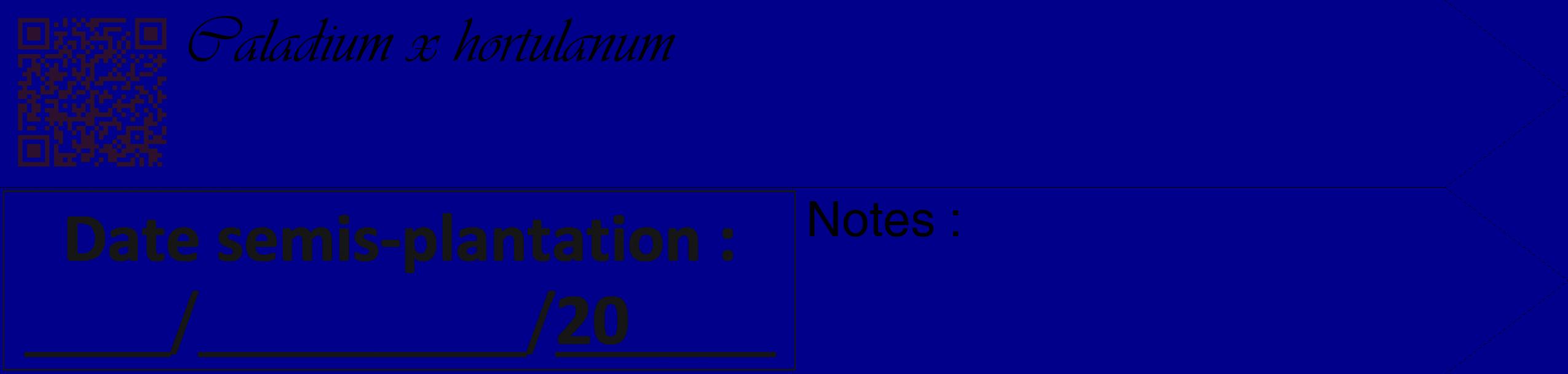 Étiquette de : Caladium x hortulanum - format c - style noire7_simple_simpleviv avec qrcode et comestibilité