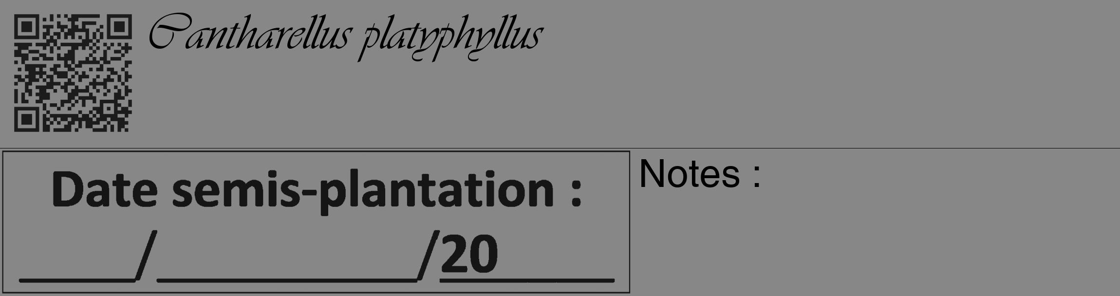 Étiquette de : Cantharellus platyphyllus - format c - style noire12_basique_basiqueviv avec qrcode et comestibilité