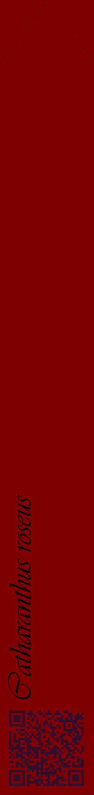 Étiquette de : Catharanthus roseus - format c - style noire29_simpleviv avec qrcode et comestibilité