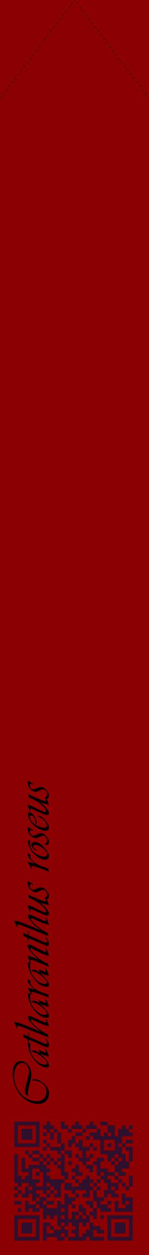 Étiquette de : Catharanthus roseus - format c - style noire34_simpleviv avec qrcode et comestibilité