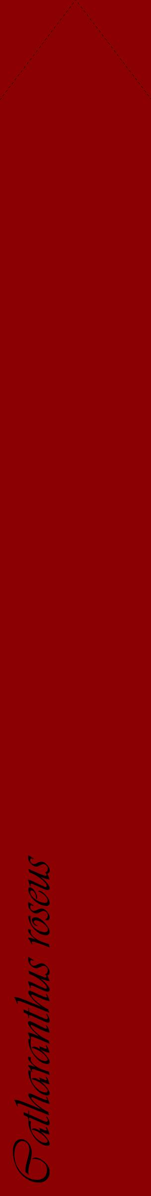 Étiquette de : Catharanthus roseus - format c - style noire34_simpleviv avec comestibilité