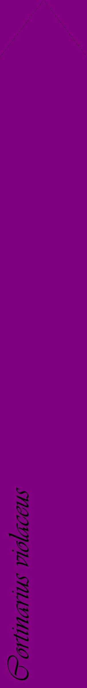 Étiquette de : Cortinarius violaceus - format c - style noire46_simpleviv avec comestibilité
