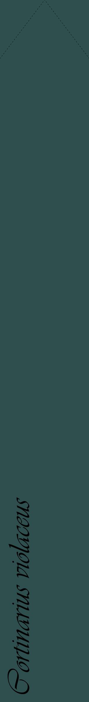 Étiquette de : Cortinarius violaceus - format c - style noire58_simpleviv avec comestibilité